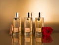 Коллекция OUD Коллекция OUD